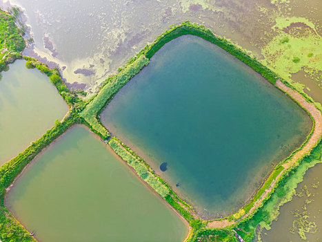 湖北大冶保安湖国家湿地公园航拍风光