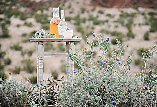 玻璃瓶,杯子,站立,荒漠景观