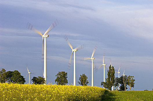 风电场,乡村风光,靠近,波兰