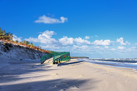 海滩,波罗的海,西部,博美狗,沙丘
