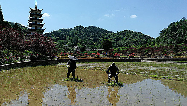 贵州正安桃花源记景区