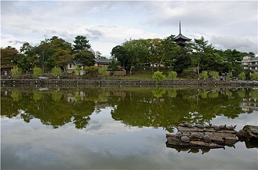 湖,塔,奈良