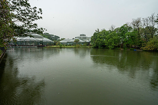 广州2023年春季华南雨中的植物园湖水