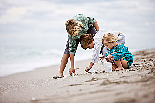 女孩,男孩,玩,壳,海滩