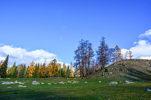 西北第一村白哈巴村秋日盛景