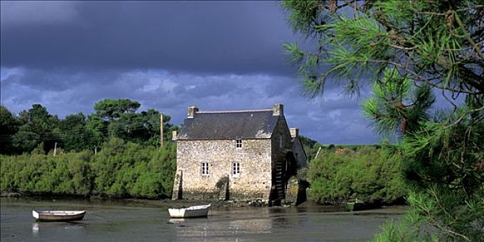 莫尔比昂省,法国,风景,围绕,树,海边,小船,停泊