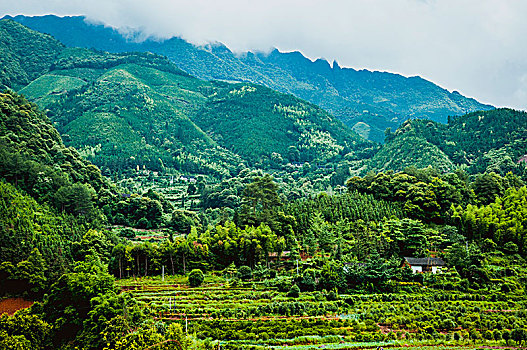 美丽山景