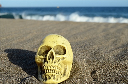 头骨,沙滩
