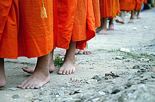 僧侣,早晨,请求,施舍,老挝,东南亚
