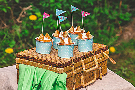 蝴蝶,杯形蛋糕,野餐篮