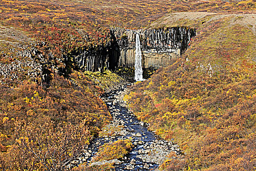 史瓦提瀑布,瀑布,秋天,斯卡夫塔菲尔国家公园,岛屿