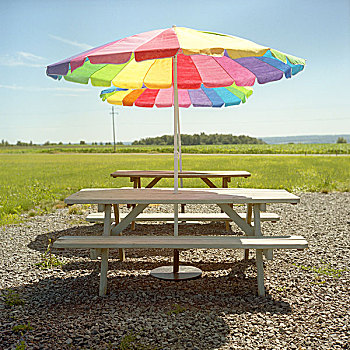 野餐,桌子,彩色,伞