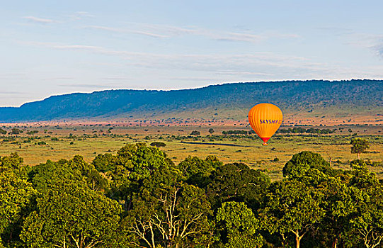 肯尼亚,马赛马拉,热气球,上方,麦赛-玛拉国家公园,日出,俯视