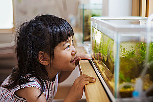家,女孩,看,鱼,鱼缸,窗台