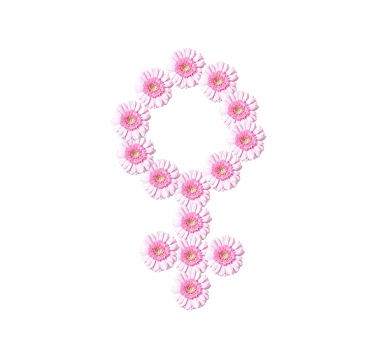电影画皮1