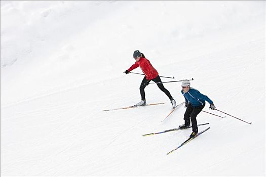 俯视,伴侣,越野滑雪,不列颠哥伦比亚省,加拿大