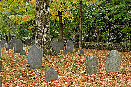 墓碑,南,埋葬,地点,康科德,马萨诸塞