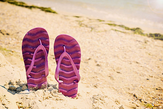 紫色,海滩,拖鞋