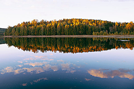 风景,秋天,树,平静,湖