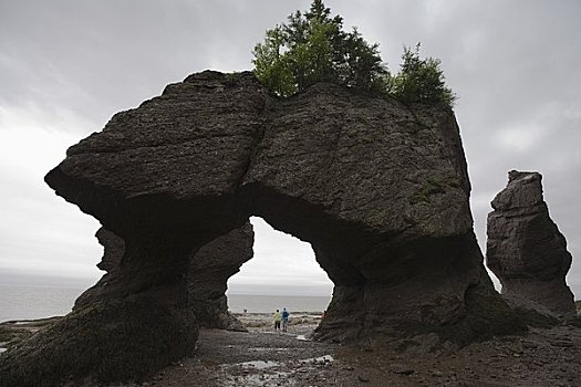 霍伯威尔岩,芬地湾,新布兰斯维克,加拿大