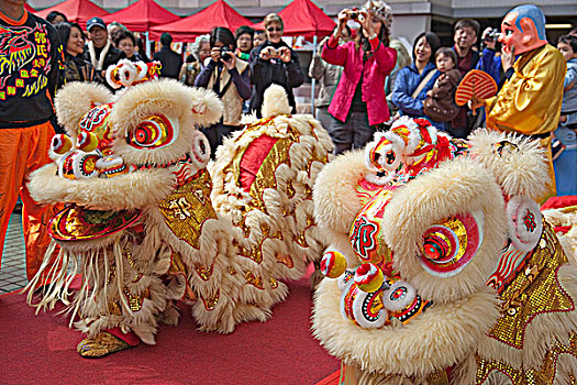狮子,跳舞,庆贺,春节,香港