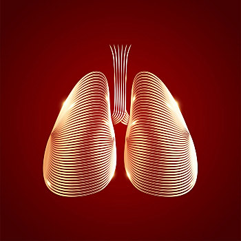 肺部插画