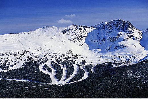 俯视,滑雪道,黑梳山,不列颠哥伦比亚省