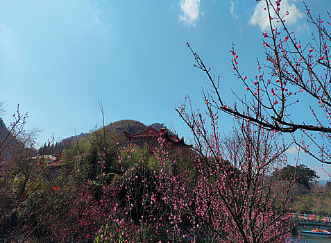 贵州醇景区风光