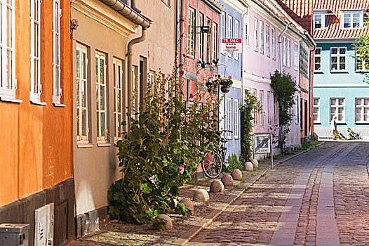 自然风光,街道,彩色,房子,植物,赫耳辛格,丹麦