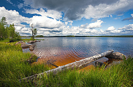 湖,岸边,远足,区域,芬兰