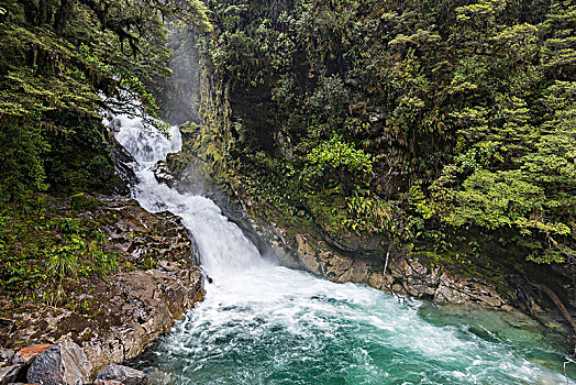 瀑布,溪流,米尔福德峡湾,公路,雨林,峡湾国家公园,南部地区,新西兰,大洋洲