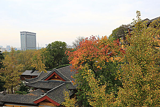 南京鸡鸣寺景色