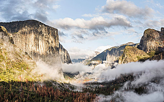 俯视图,雾气,上方,山谷,树林,优胜美地国家公园,加利福尼亚,美国