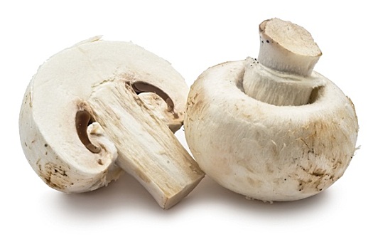 洋蘑菇,蘑菇