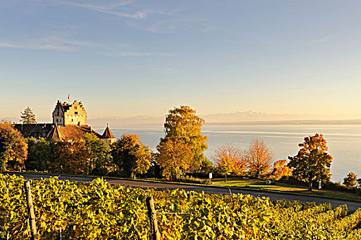 风景,上方,秋天,色彩,葡萄园,历史,梅尔斯堡,城堡,湖,康士坦茨,地区,巴登符腾堡,德国,欧洲