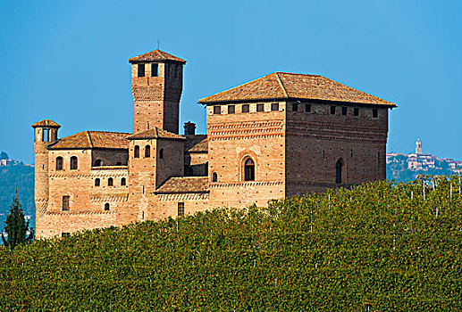 城堡,库内奥省,意大利,欧洲