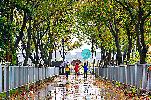 春雨,道路,伞,雨中,孩子