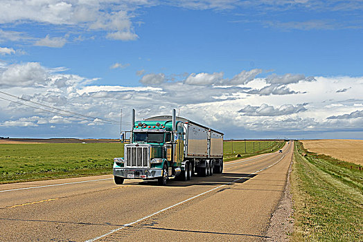 卡车,笔直,道路,艾伯塔省,加拿大,北美