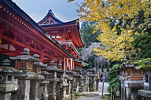 日本,奈良,城市,神社
