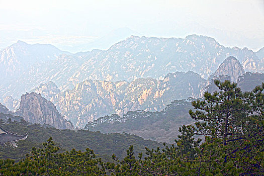 黄山,奇石,云海,壮观,名胜,风景,0115