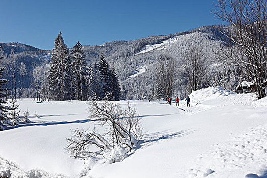 越野滑雪,小路,靠近,萨尔茨卡莫古特,施蒂里亚,奥地利,欧洲