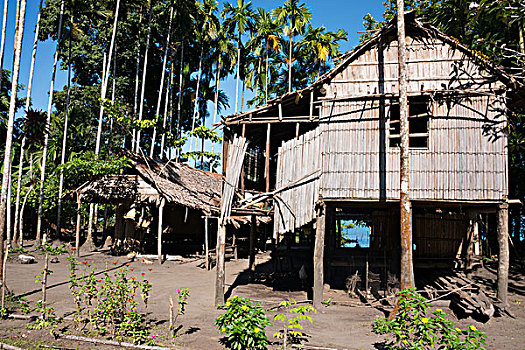 美拉尼西亚,巴布亚新几内亚,岛屿,乡村,特色,茅草屋顶,房子,大幅,尺寸