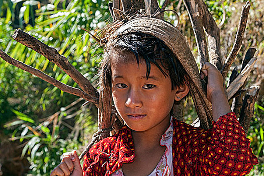 女孩,种族,头像,乡村,卡劳,掸邦,缅甸,亚洲