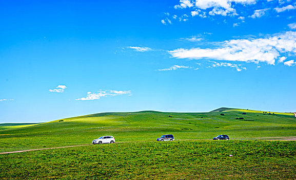 汽车穿过绿色的大草原