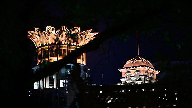 皇冠屋顶夜景