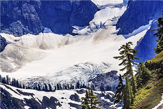 舒克森山,冰河,特写,常绿植物,艺术家,华盛顿