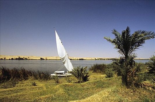 埃及,山谷,河