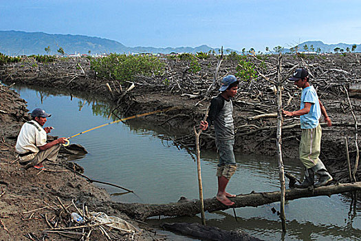 一个,男人,捕鱼,区域,红树,海啸,击打,十二月,2004年,印度尼西亚,七月,2007年
