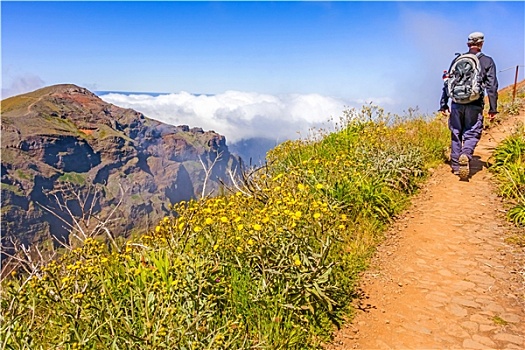 远足,小路,马德拉岛,山色