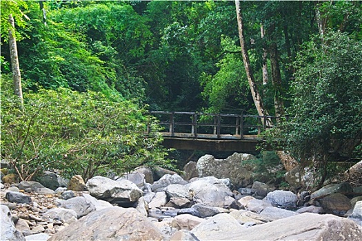 木桥,上方,河流